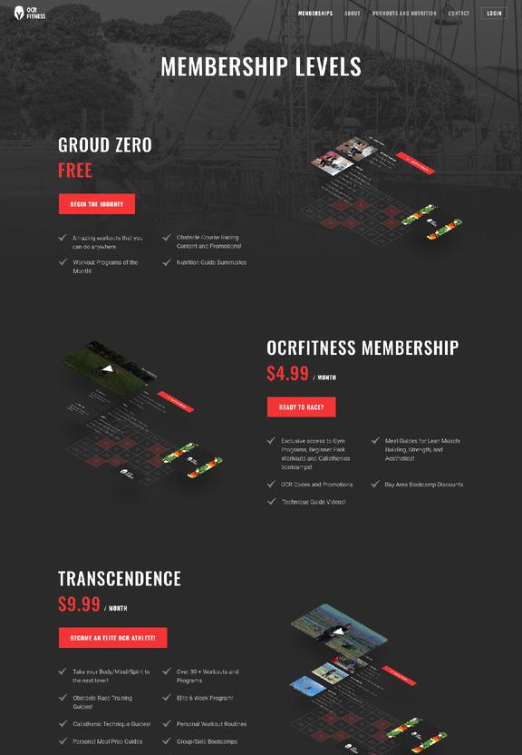 Screenshot of the website