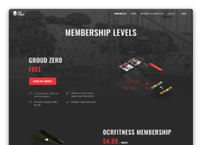 Screenshot of the website